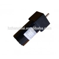 12 VDC spur motor